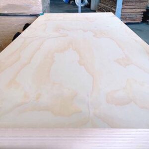 Pine Plywood