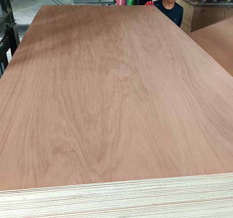 Pencil Cedar Plywood - Image 3